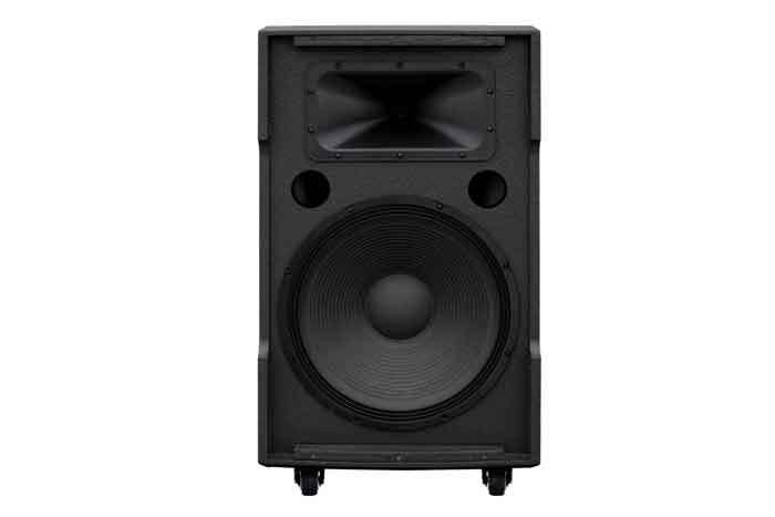 Loa kéo bình Dalton TS-15G550N Bass 40cm 550W